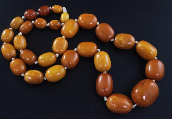 A single strand graduated oval amber bead necklace, 80cm.